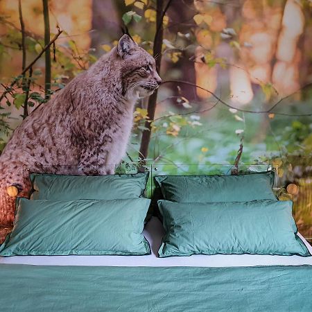 Echt-Harz-Fewo バート・ハルツブルク エクステリア 写真